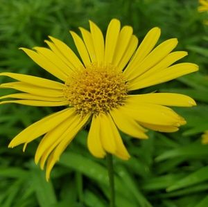 Meet your Posher, Avery